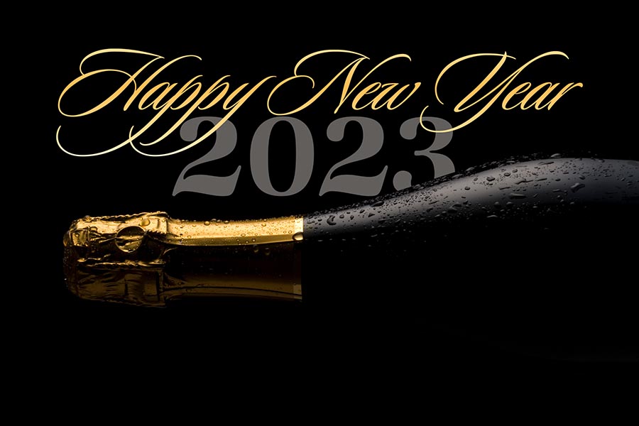 Happy New Year from our family at MLD Services