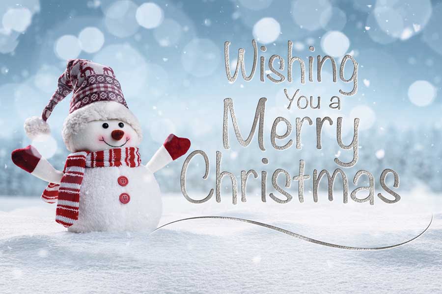 Merry Christmas from our family at MLD Services